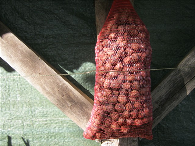 orasi